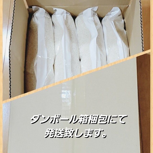 食品/飲料/酒新米コシヒカリ 兵庫県 20キロ 精米済み 令和3年度産 農家直送