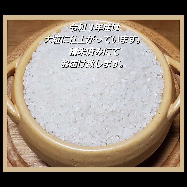 食品/飲料/酒新米コシヒカリ 兵庫県 20キロ 精米済み 令和3年度産 農家直送