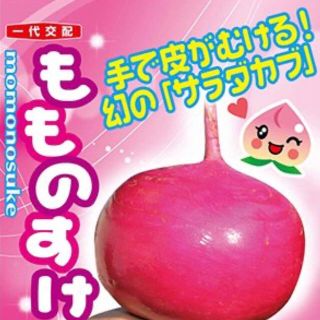 手がむける!幻のサラダカブ もものすけ 種 野菜の種20個 (野菜)