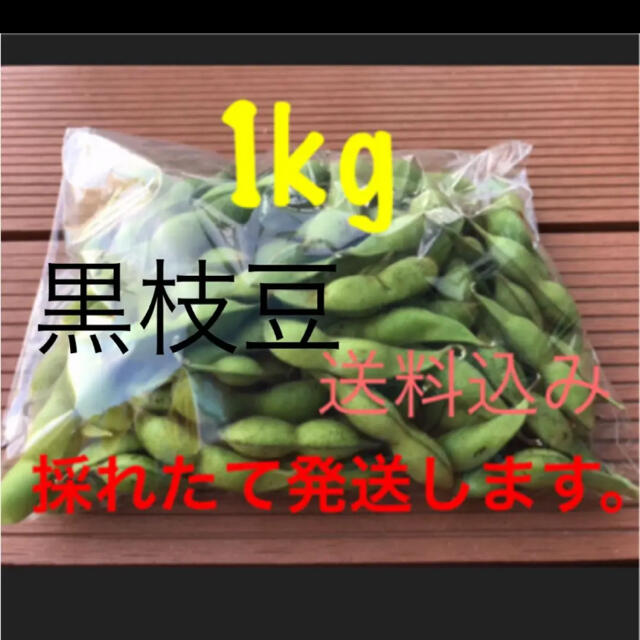 黒枝豆　1kg  採れたて発送します。 食品/飲料/酒の食品(野菜)の商品写真