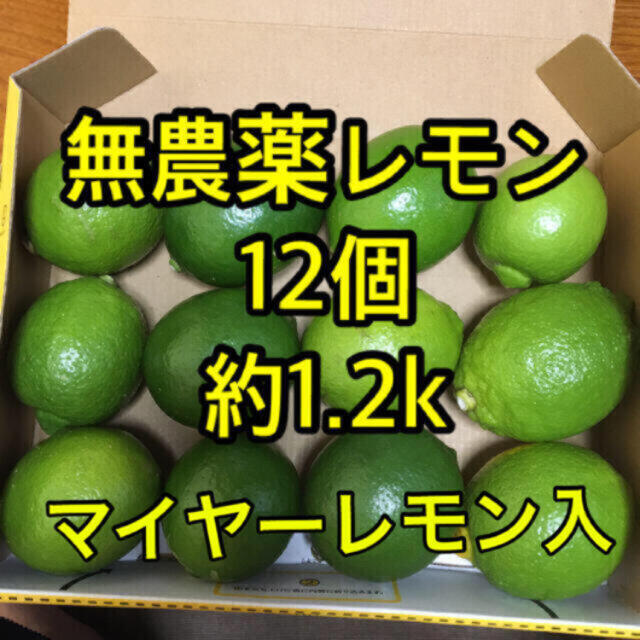 国産　無農薬レモン　12個　オーガニック　送料込 食品/飲料/酒の食品(フルーツ)の商品写真