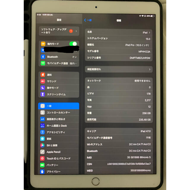 iPad pro 10.5 256G 美品　SoftBank SIM 2