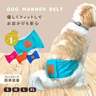 犬　マナーベルト　Sサイズ　2枚セット(犬)