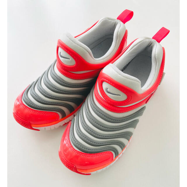 NIKE(ナイキ)のナイキ ダイナモフリー 21cm キッズ/ベビー/マタニティのキッズ靴/シューズ(15cm~)(スニーカー)の商品写真
