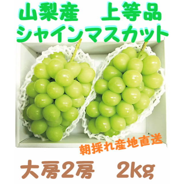 青秀品特大2房2kg箱シャインマスカット納得の翡翠葡萄山梨笛吹発当日もぎ直送