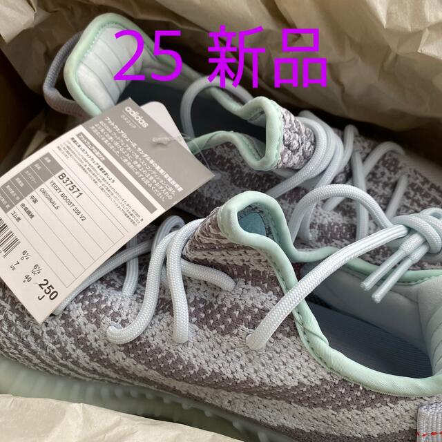 数量限定セール adidas YEEZYBOOST 350 V2 アディダス スニーカー asakusa.sub.jp