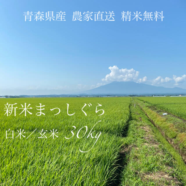 精米無料【青森新米】令和3年 新米まっしぐら 白米/玄米30kg 個人農家直送 精米無料