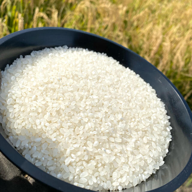 青森新米】令和3年　精米無料　新米まっしぐら　白米/玄米30kg　個人農家直送　米/穀物