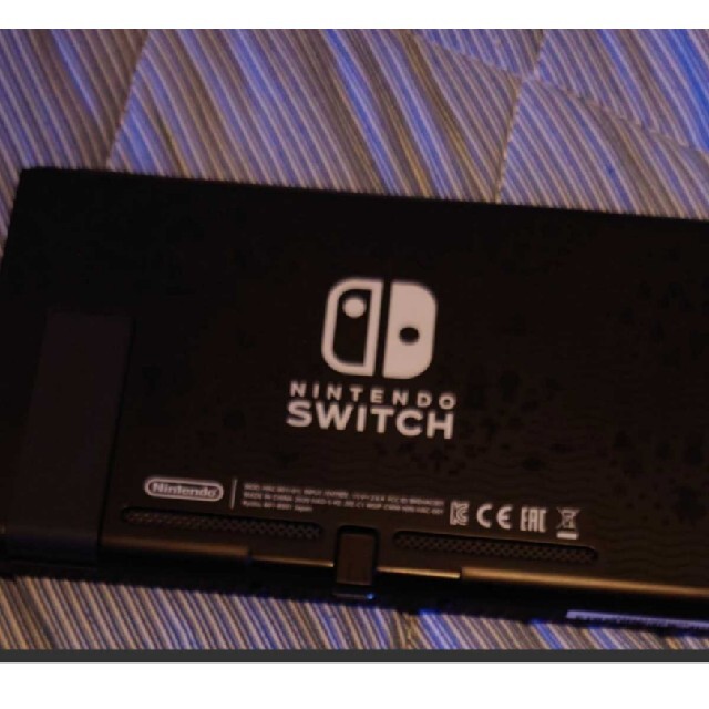 Nintendo Switch あつまれ どうぶつの森セット