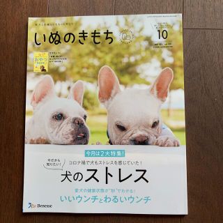 はがっち様専用　　いぬのきもち　10月号(犬)