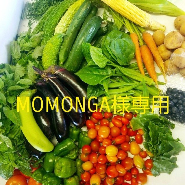 MOMONGA様専用 食品/飲料/酒の食品(野菜)の商品写真