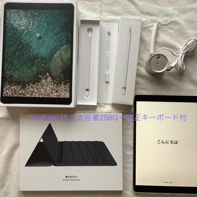 新規購入 - Apple 極美品)iPad +純正付属品〜勉学にも最適 wifi 256G pro10.5 タブレット