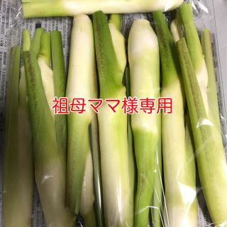 祖母ママ様専用　マコモタケ　600(野菜)