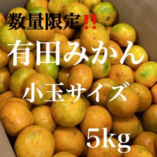 有田みかん　訳あり極早生みかん　小玉サイズ　5kg入り！！(フルーツ)