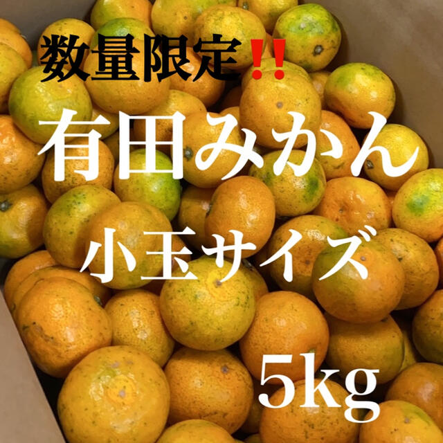 有田みかん　訳あり極早生みかん　小玉サイズ　5kg入り！！ 食品/飲料/酒の食品(フルーツ)の商品写真