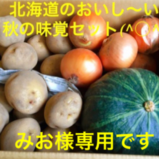 みお様専用　北海道のおいし〜い秋の味覚変わり種セット(^○^)(野菜)