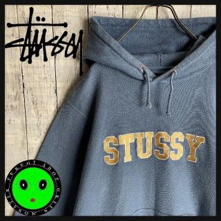 ステューシー(STUSSY)の【大人気カラー☆刺繍文字ロゴ】ステューシー パーカー Lサイズ 入手困難 レア(パーカー)