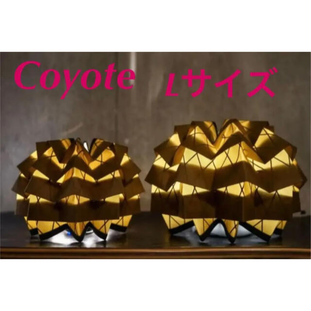 新品 未開封 solol-coyote-Lサイズ | ziwanipoultry.com