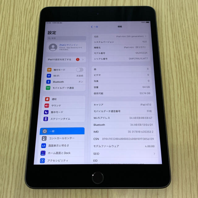 超美品 iPad mini5 64GB ロック解除済 au版 Cellular 2