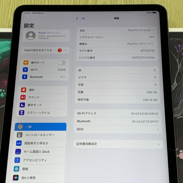 iPad Pro 11インチ  256GB MTXQ2J/A WiFi ジャンク 1