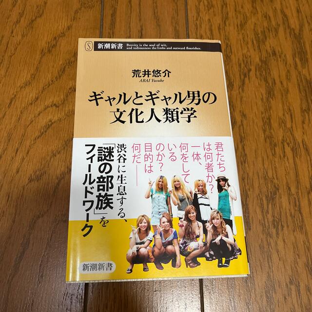 ギャルとギャル男の文化人類学 エンタメ/ホビーの本(文学/小説)の商品写真