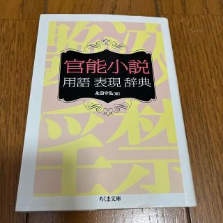 官能小説用語表現辞典(文学/小説)