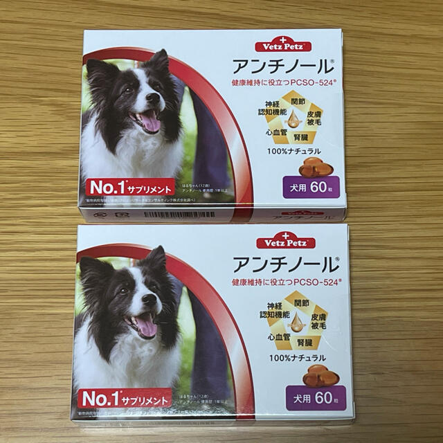 犬用アンチノール 60粒 2箱 twispwa.com