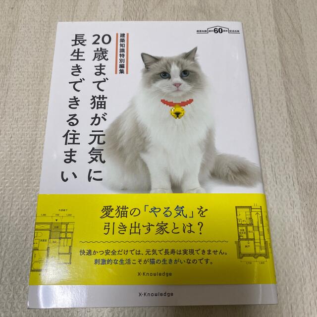 ２０歳まで猫が元気に長生きできる住まい 建築知識特別編集 エンタメ/ホビーの本(住まい/暮らし/子育て)の商品写真