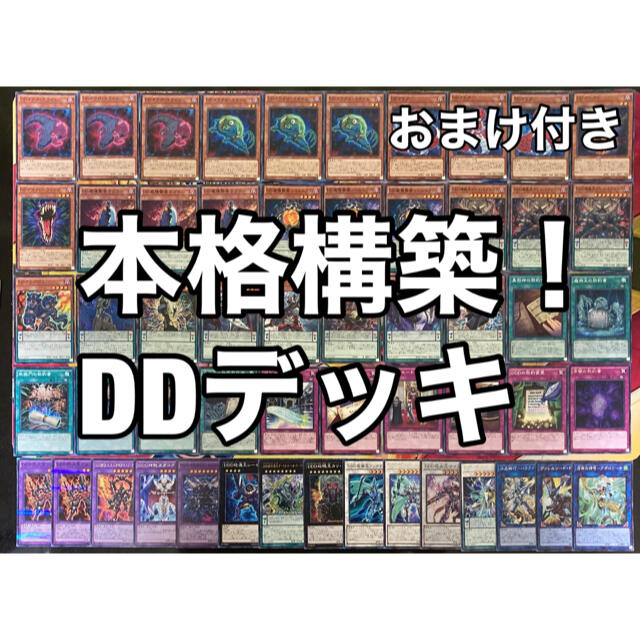 遊戯王 No.204 本格構築！DDデッキトレーディングカード