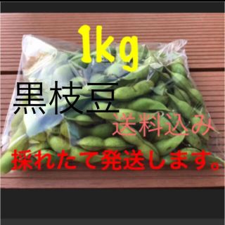 黒枝豆　1kg   採れたて発送します。(野菜)