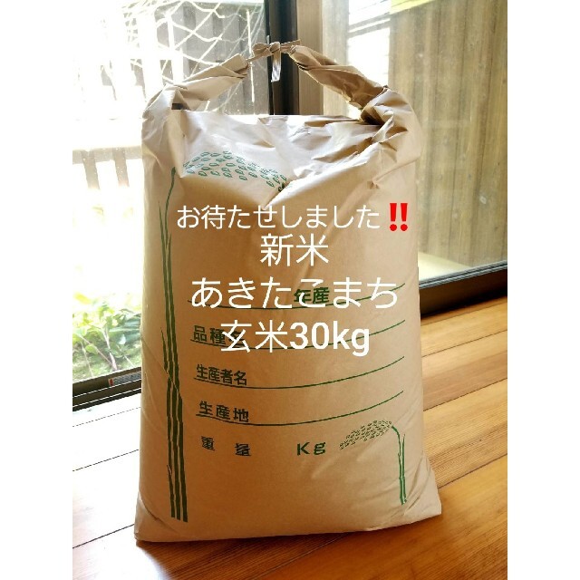 イチ様専用です‼️淡路島産あきたこまち玄米30kg、農家直送です