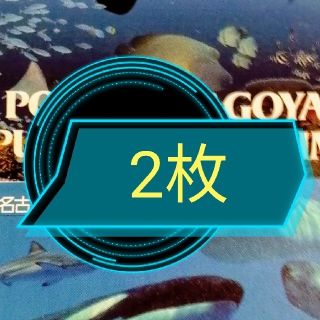 名古屋港水族館チケット大人2枚(水族館)