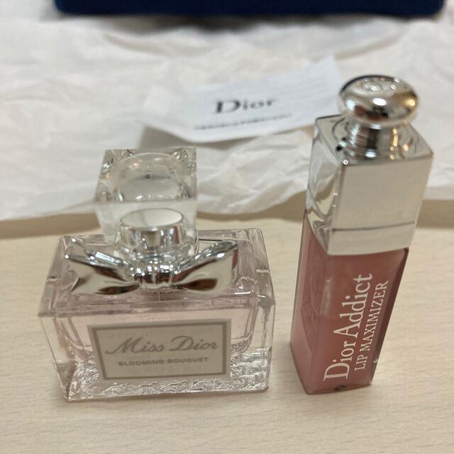 Dior(ディオール)のアディクトクリスマスオファー2021 レディースのファッション小物(ポーチ)の商品写真