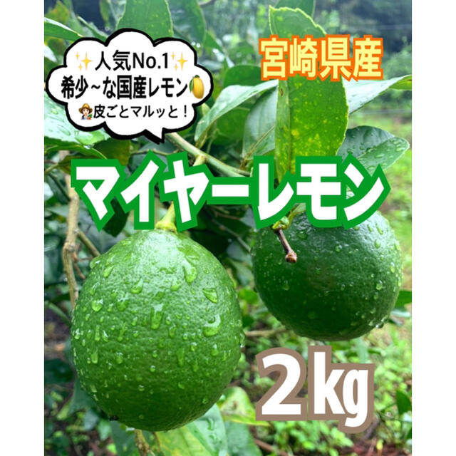 【宮崎県産】希少❣️マイヤーレモン2㎏（送料込み）/レモン　国産レモン　果物 食品/飲料/酒の食品(フルーツ)の商品写真