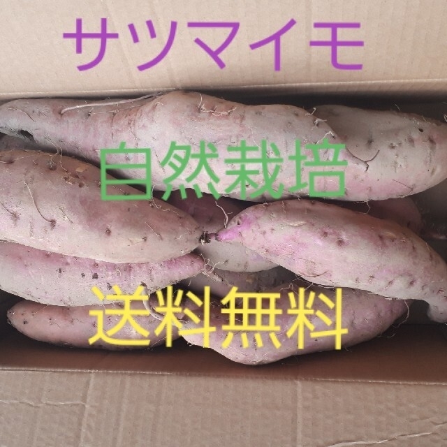 【送料無料】令和3年産　自然栽培のサツマイモ&菊いも　約6キロ(3キロずつ) 食品/飲料/酒の食品(野菜)の商品写真