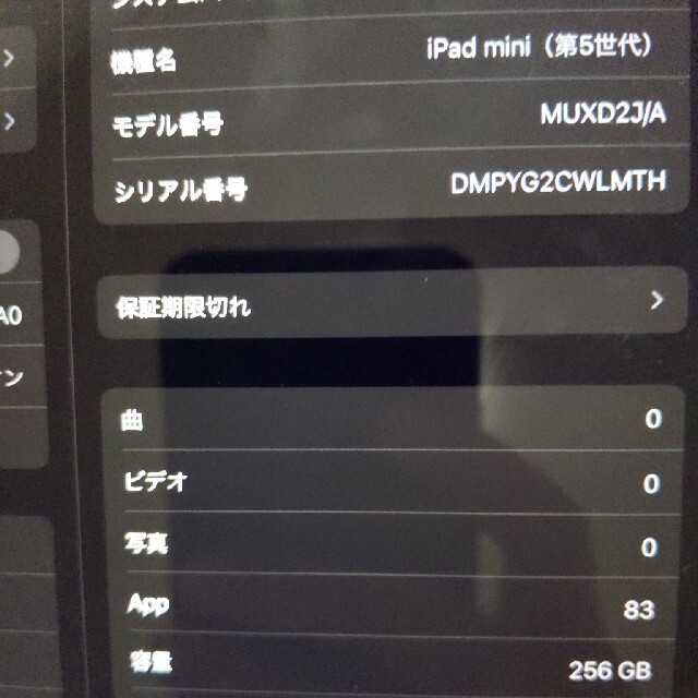 iPad mini 5 Cellular 256GB SIMフリー iPad mini 5 Cellular 256GB SIMフリー