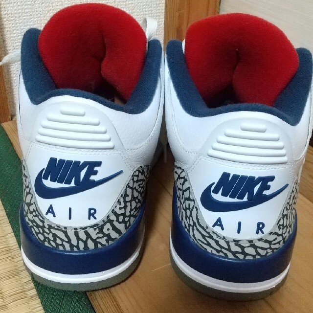 NIKE(ナイキ)のJORDAN 3TRUE BLUE 29cm  US11 メンズの靴/シューズ(スニーカー)の商品写真