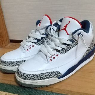 ナイキ(NIKE)のJORDAN 3TRUE BLUE 29cm  US11(スニーカー)