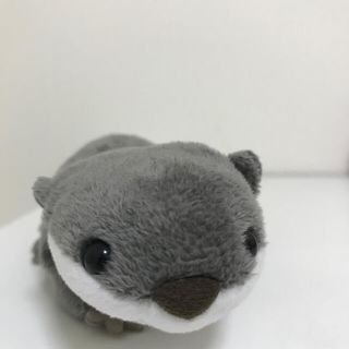 コツメカワウソくんぬいぐるみ(ぬいぐるみ)