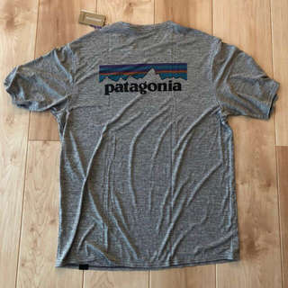 パタゴニア(patagonia)のpatagonia メンズ　キャプリーン　クール　デイリー　グラフィック　(Tシャツ/カットソー(半袖/袖なし))