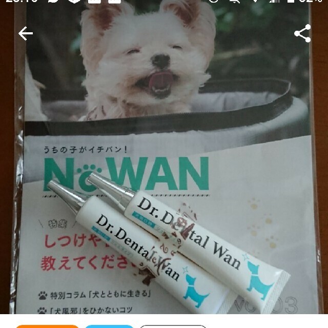 【超歓迎】 ドクターデンタルワン 2本 犬