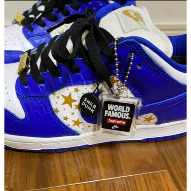 NIKE(ナイキ)の 2021SS Supreme × Nike SB Dunk Low メンズの靴/シューズ(スニーカー)の商品写真