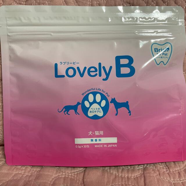 ラブリービー　Lovely B犬