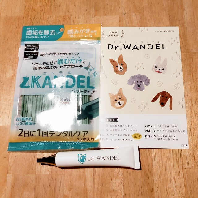 カンデル ドクターワンデル | kidscareclinics.com