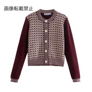 ザラ(ZARA)の🎃10月新作👻6332◆秋カラー デザイン 柄 ニット カーディガン(カーディガン)