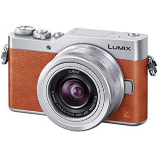 パナソニック(Panasonic)の最終値引き✨【カメラ本体のみ】Wi-Fi&自撮りLumix G(デジタル一眼)