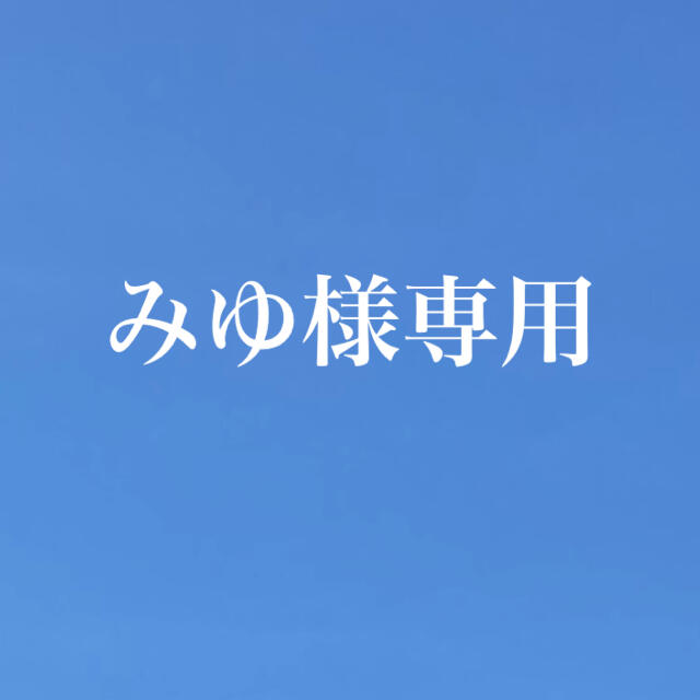 みゆ様専用　ナガノパープル1キロ 食品/飲料/酒の食品(フルーツ)の商品写真