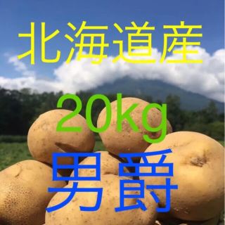 北海道産訳ありじゃがいも男爵20kg(野菜)