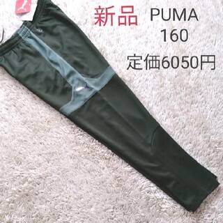 プーマ(PUMA)のプーマ　PUMA　新品　ジャージ　下　男の子　　モスグリーン　160　パンツ(パンツ/スパッツ)