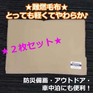 ２枚セット★[L] 難燃毛布 シングル L-5500 カネボウルフネン使用(毛布)